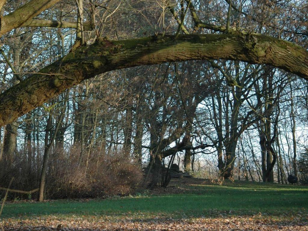 Jadgschloss Zu Hohen Niendorf Exterior foto